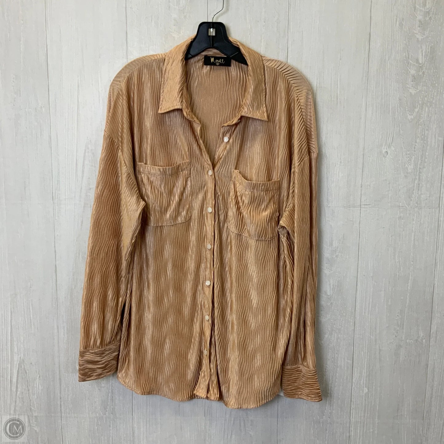Blouse Long Sleeve By Clothes Mentor In Beige, Size: M