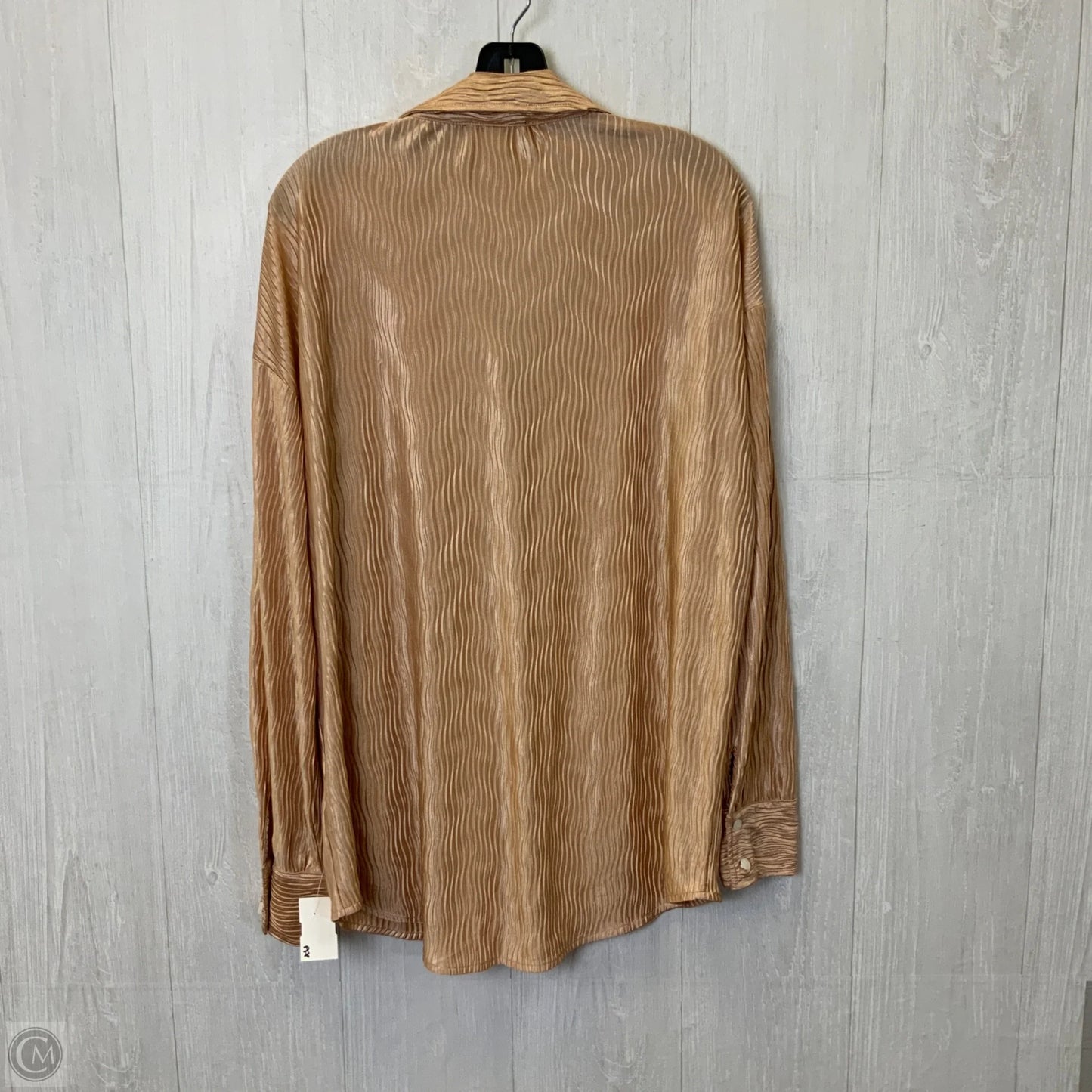 Blouse Long Sleeve By Clothes Mentor In Beige, Size: M