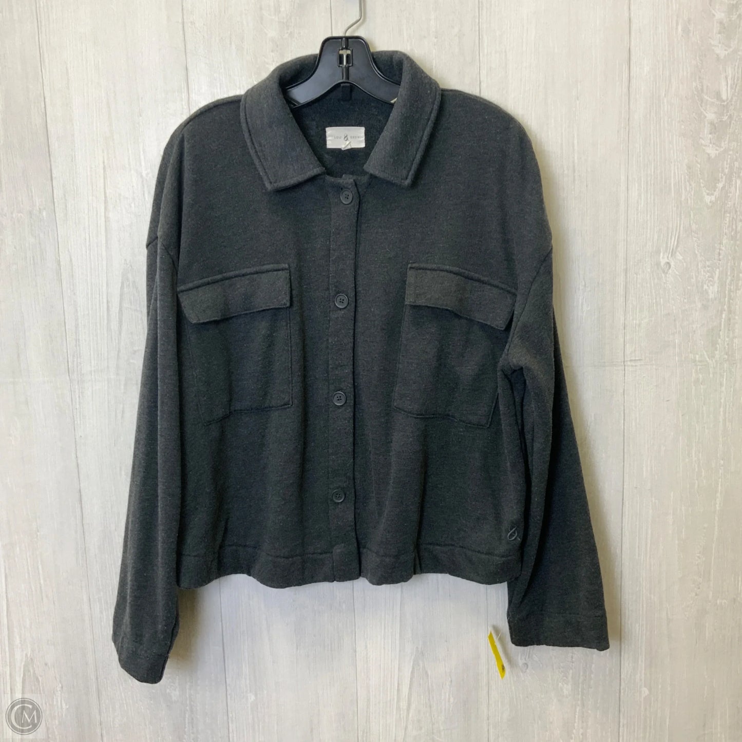 Blouse Long Sleeve By Lou And Grey In Grey, Size: L