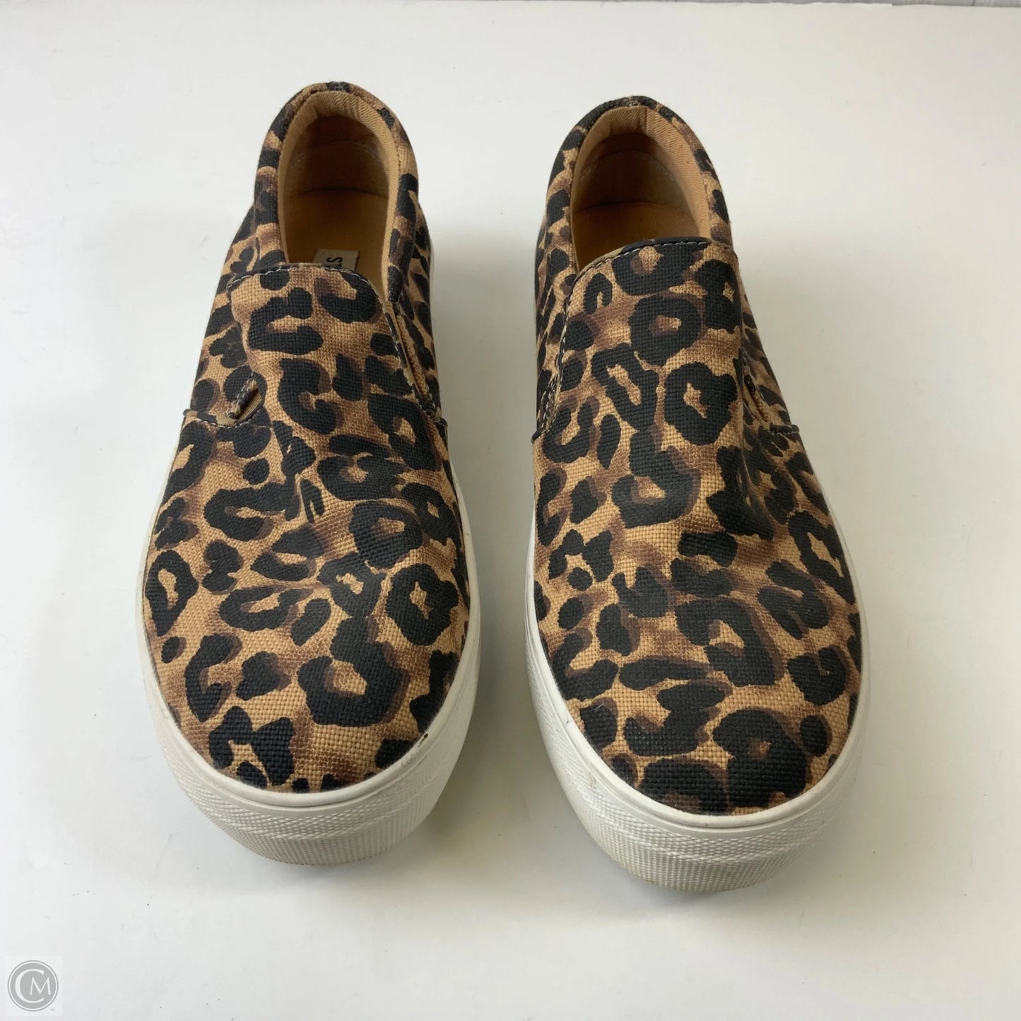 Shoes Sneakers By Steve Madden In Leopard Print, Size: 9.5