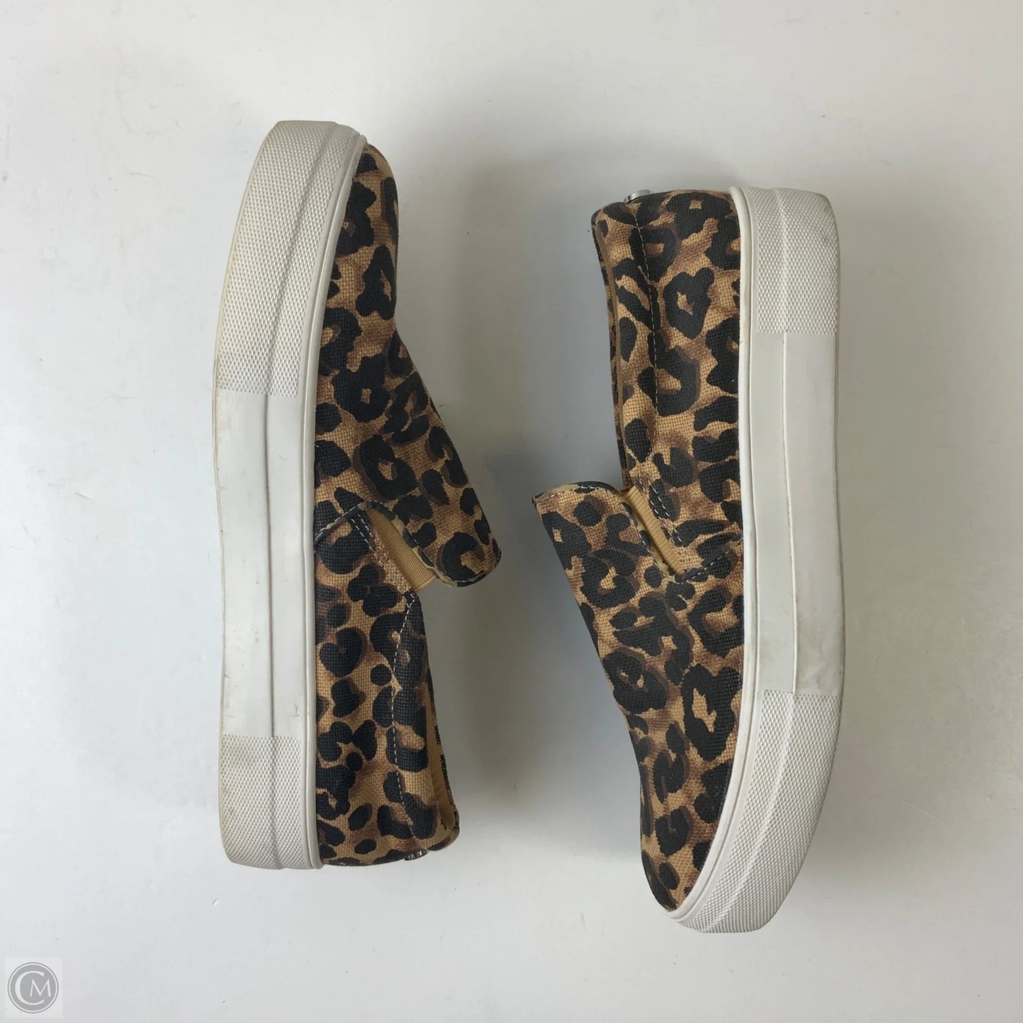 Shoes Sneakers By Steve Madden In Leopard Print, Size: 9.5