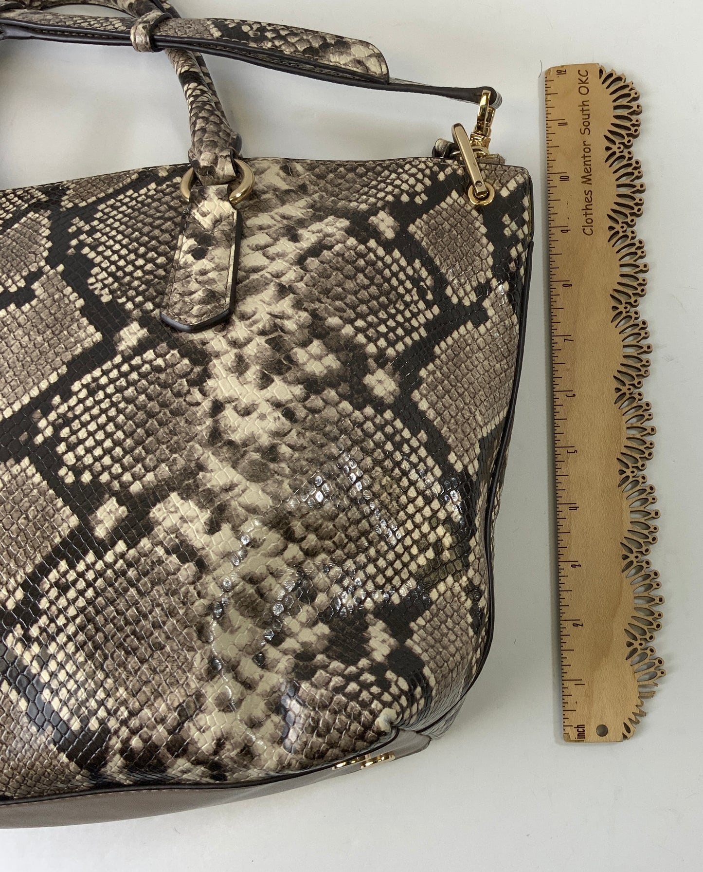 Handbag Designer By Michael Kors Collection In Snakeskin Print, Size:Medium