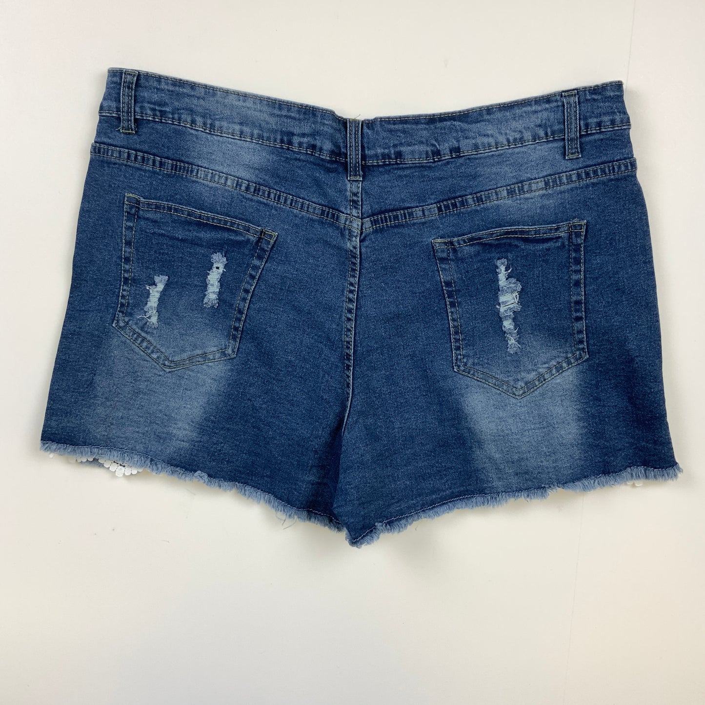 Blue Shorts Clothes Mentor, Size 2x