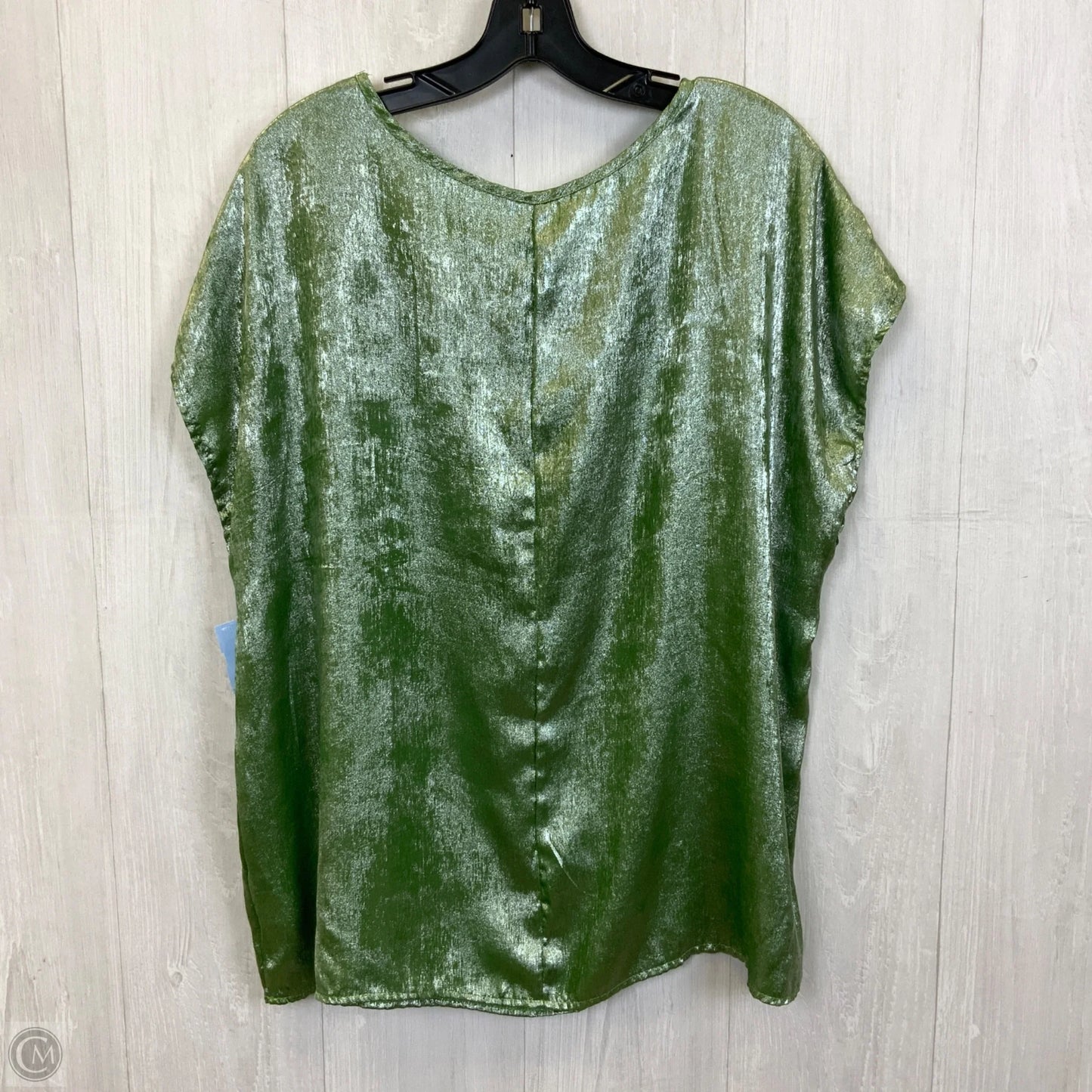 Top Sleeveless By Clothes Mentor In Green & Silver, Size: 1x