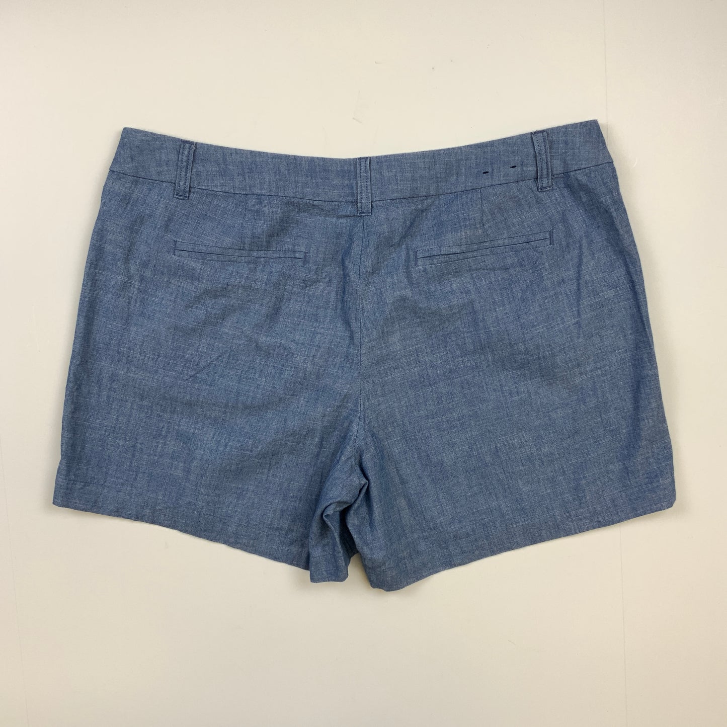 Blue Shorts J. Crew, Size 14