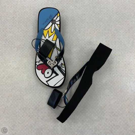 Sandals Flip Flops By Brighton In Black, Size: 7