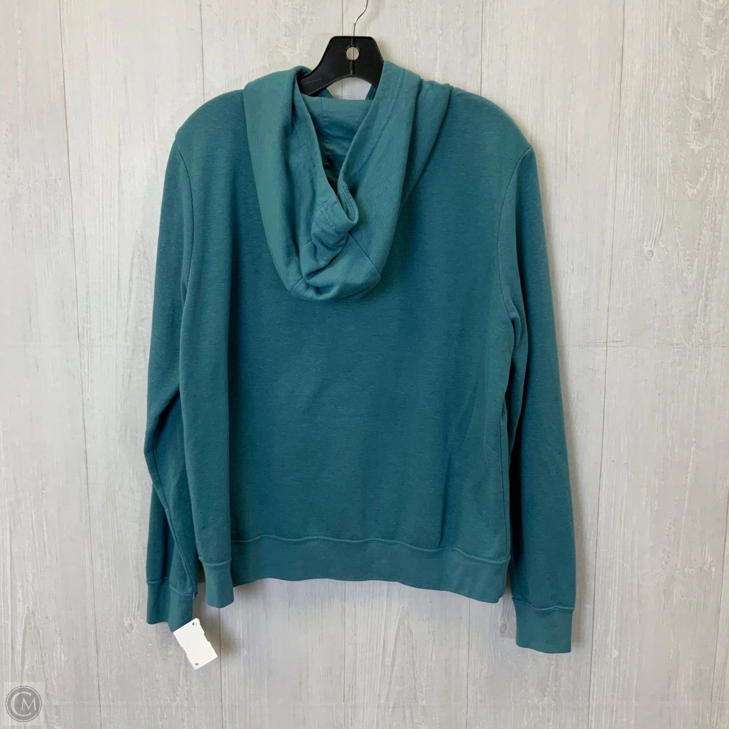 Sweatshirt Hoodie By Nike In Aqua, Size: L