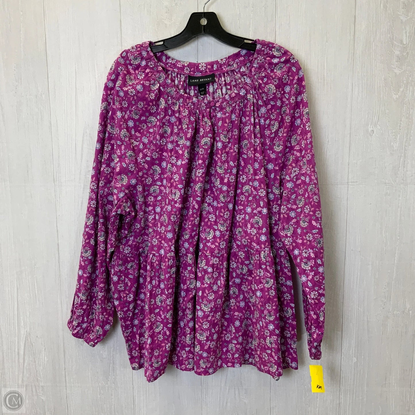 Top Long Sleeve By Lane Bryant In Blue & Purple, Size: 3x