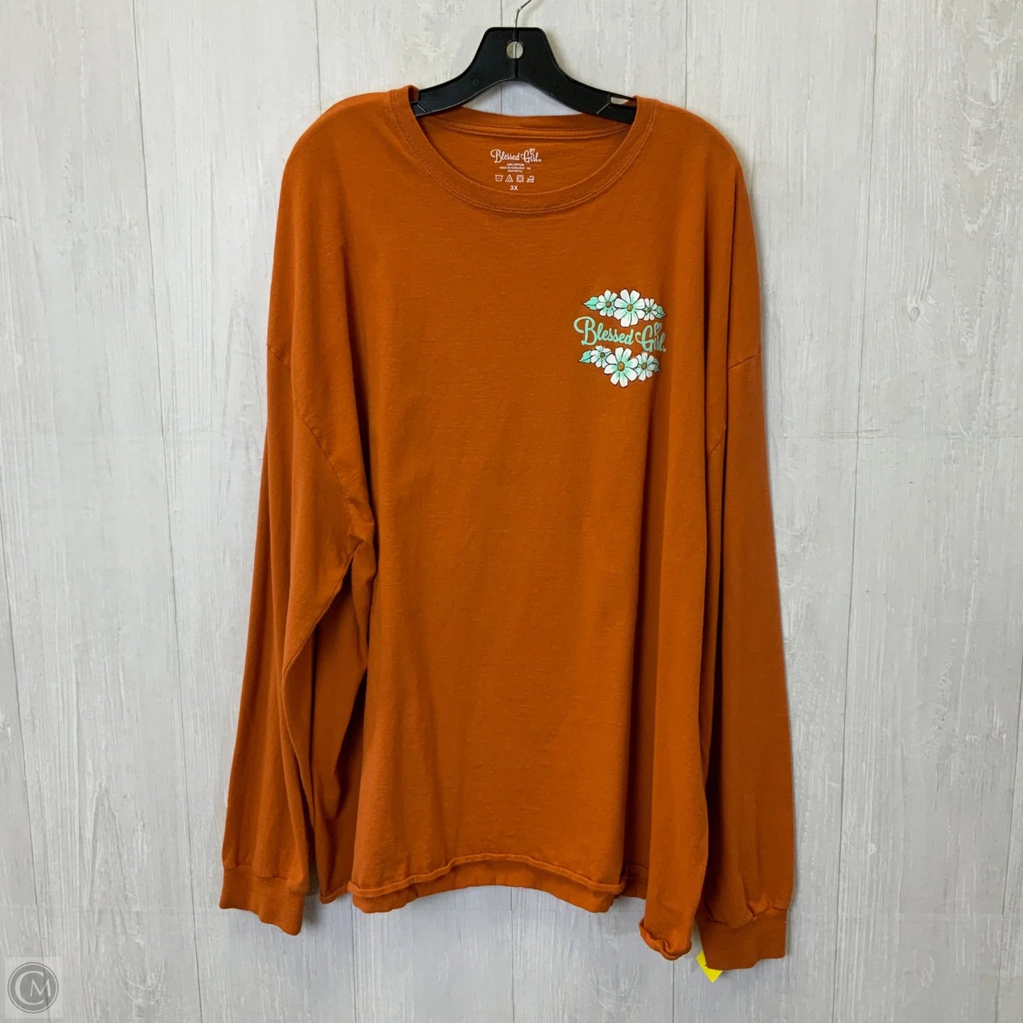 Top Long Sleeve By Clothes Mentor In Orange, Size: 3x