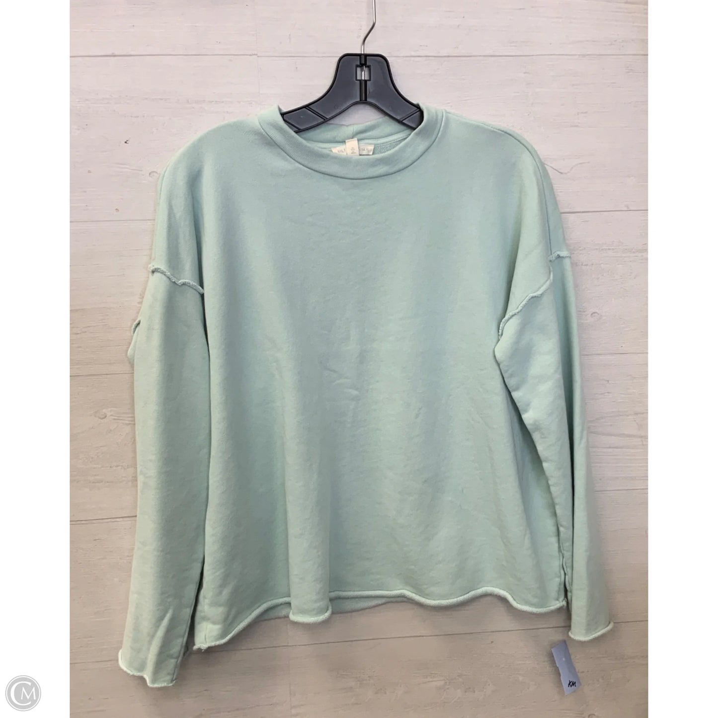 Sweatshirt Crewneck By Eileen Fisher In Teal, Size: Xxs