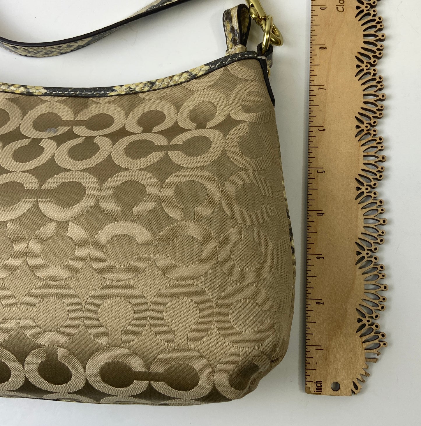 Crossbody Designer By Coach In Snakeskin Print, Size:Medium