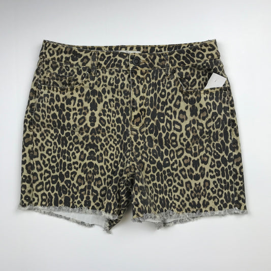 Shorts By Cato  Size: 12